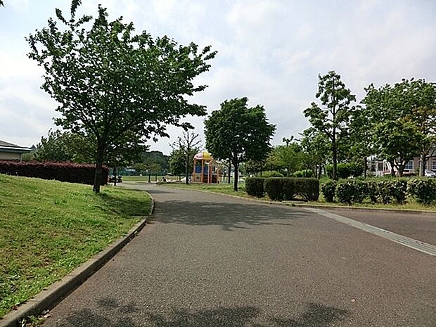 瀬谷本郷公園 699m