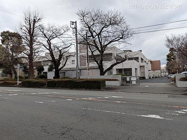 相模原市立小山小学校 804m