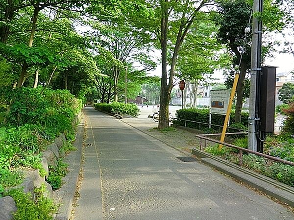瀬谷中央公園　996ｍ