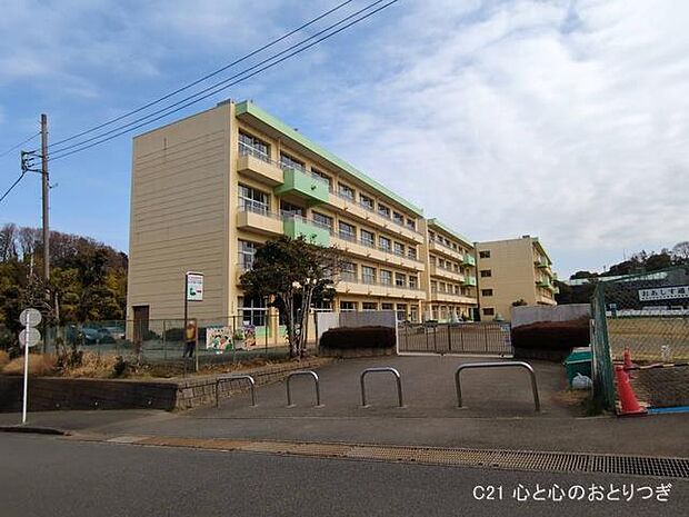 海老名市立杉久保小学校　737ｍ