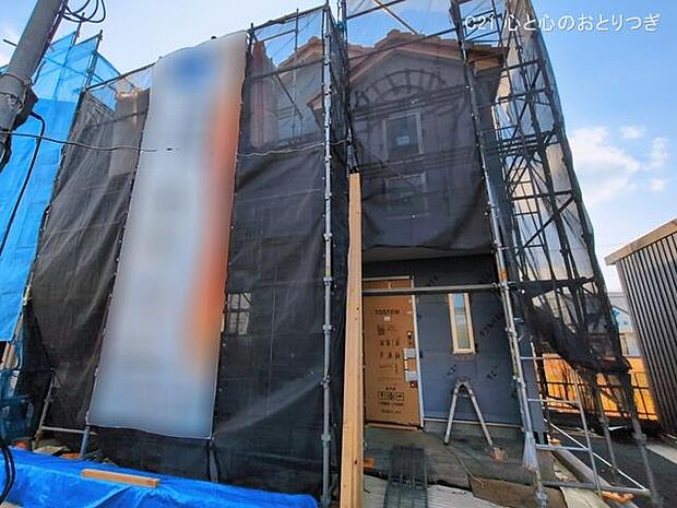 撮影日:2026/03/17