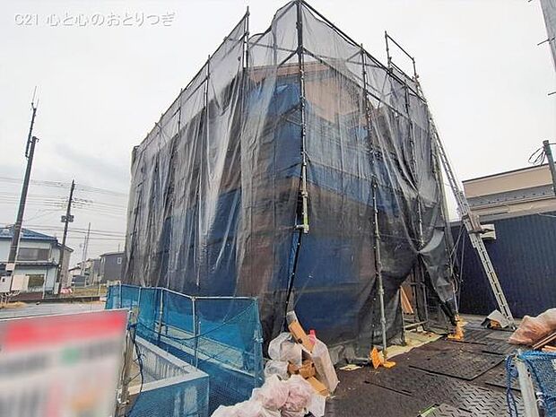 撮影日:2026/02/25