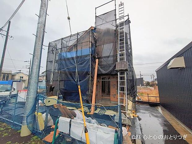 撮影日:2026/02/25