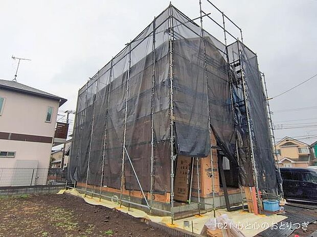 撮影日:2026/02/25