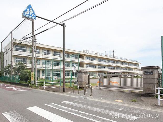 海老名市立有鹿小学校　540ｍ
