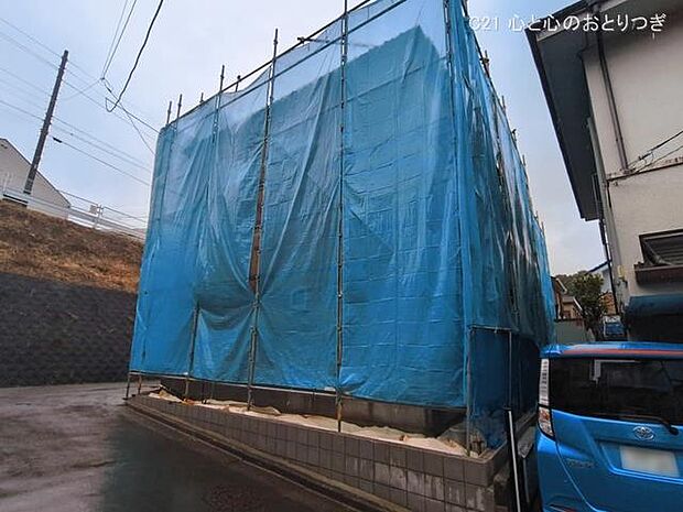 撮影日:2026/03/03