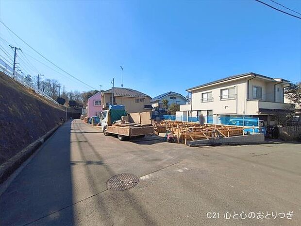 撮影日:2026/01/29