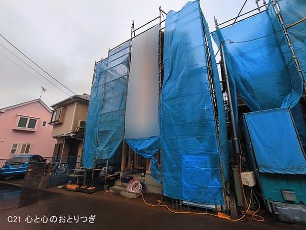 撮影日:2026/03/03