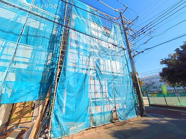 撮影日:2025/12/18