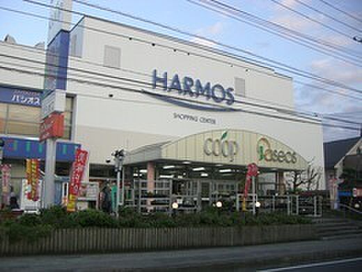 ユーコープハーモス座間　198ｍ