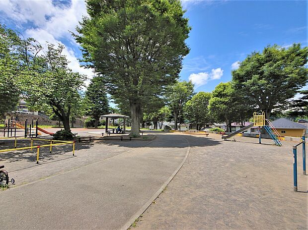 金が谷公園 1183m