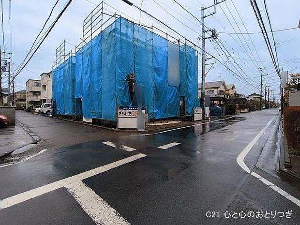 撮影日:2026/03/03