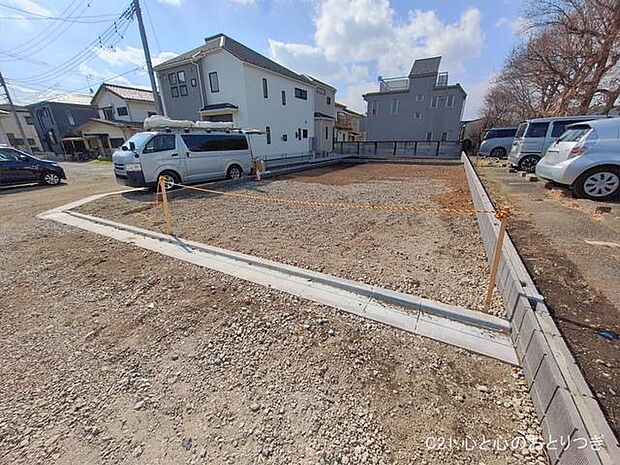 撮影日:2026/02/18