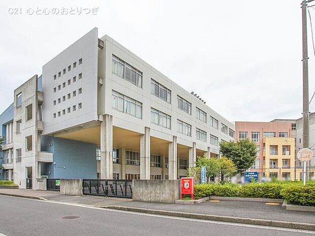 大和市立渋谷中学校 1924m
