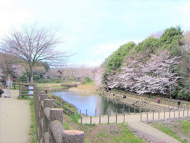 泉の森 1149m