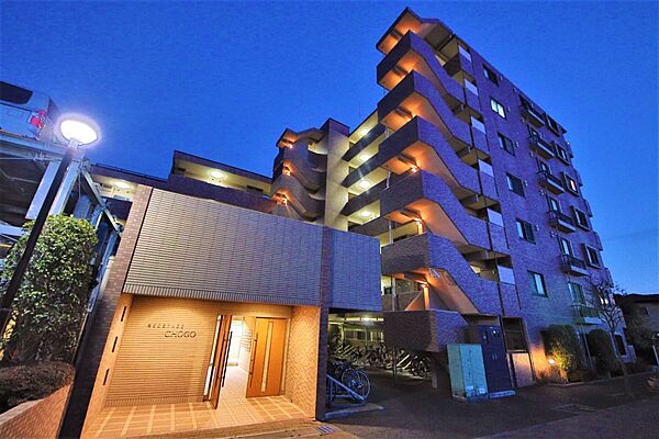 外観：314002695542