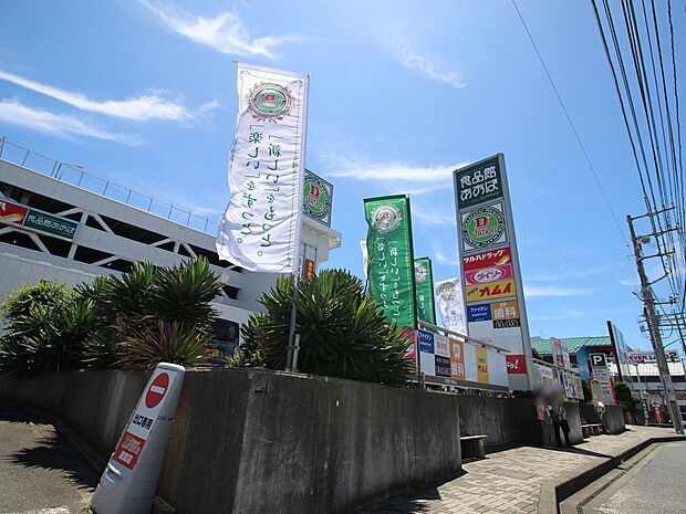 ツルハドラッグライズモール座間ひばりが丘店 356m