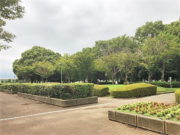 海老名運動公園 1040m