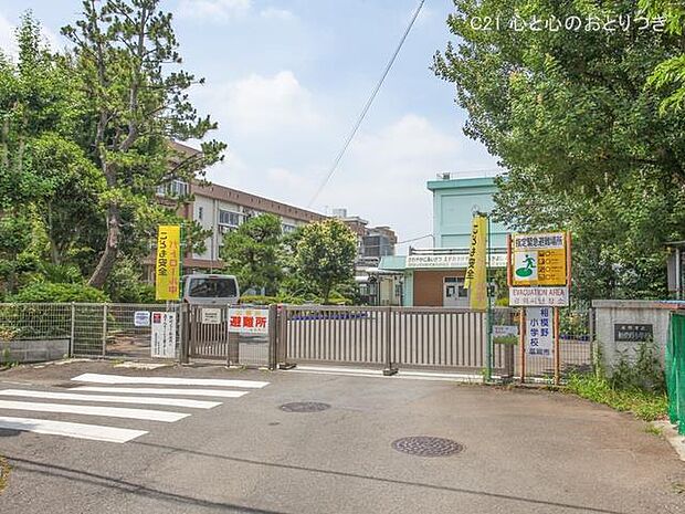 座間市立相模野小学校　500ｍ