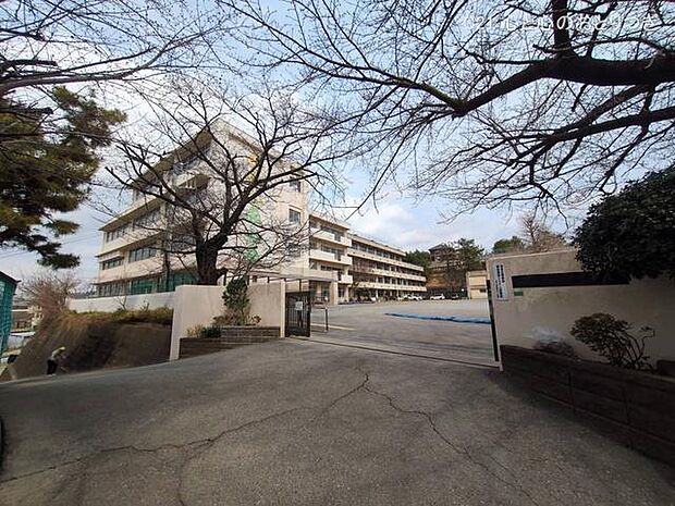 海老名市立海老名小学校 698m