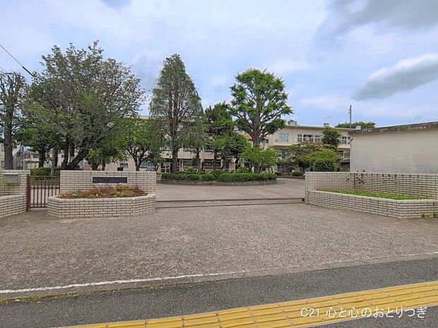 相模原市立谷口台小学校 1100m