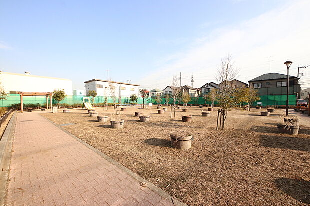 もちのき公園 337m