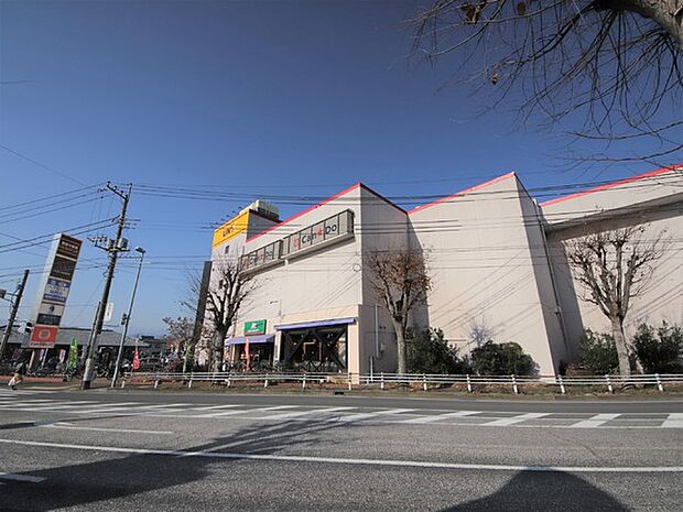 MEGAドン キホーテUNY座間店 1164m