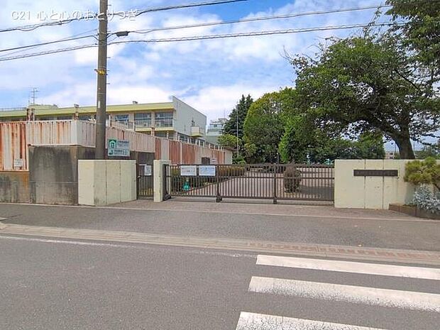 相模原市立若草小学校　560ｍ