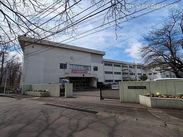 相模原市立大野台中学校　954ｍ