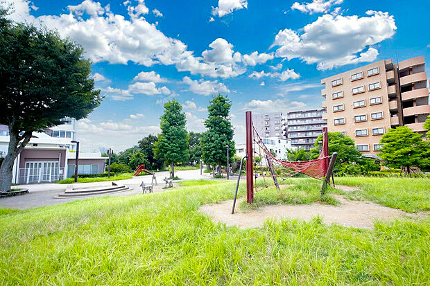 リラの丘公園　547ｍ