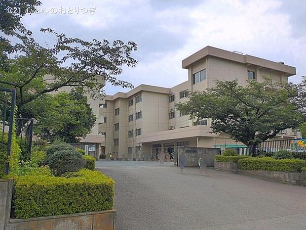 海老名市立杉本小学校 600m