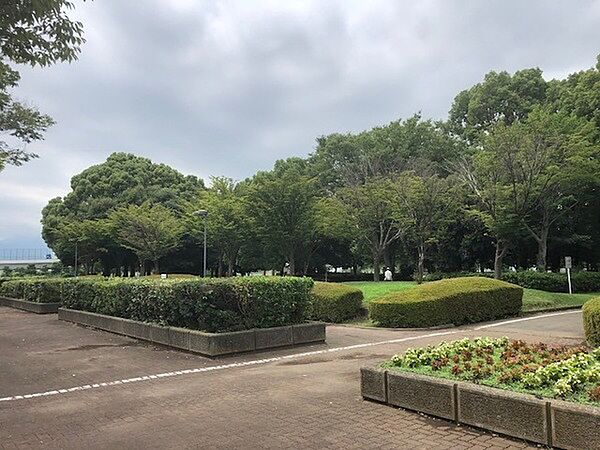 海老名運動公園　1017ｍ
