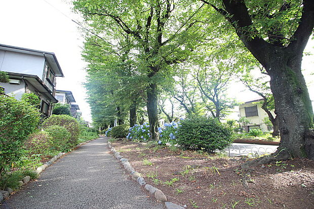 綾西緑地　255ｍ