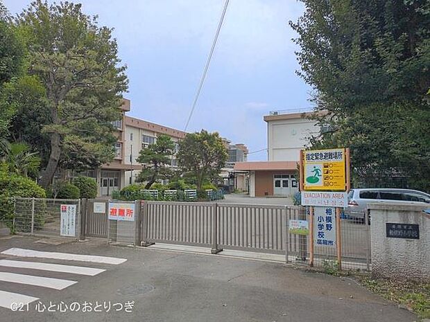 座間市立相模野小学校 767m