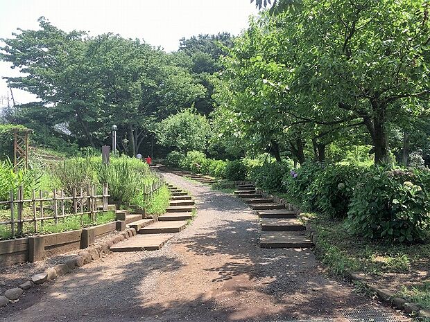 ふれあいの森　564ｍ