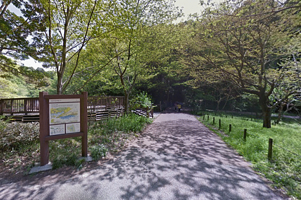 県立座間谷戸山公園