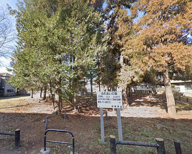 東林間1丁目ふれあいの森