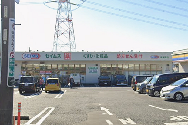 ドラッグセイムス綾瀬南店