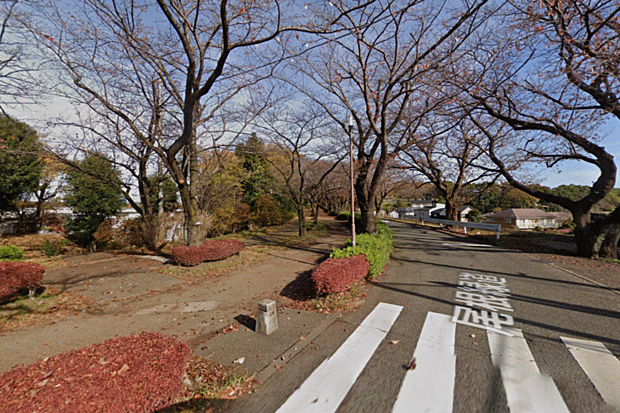 小山田桜台1号緑地