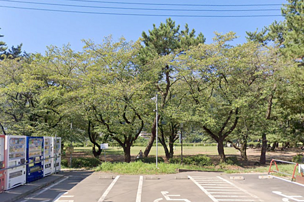 上大島キャンプ場