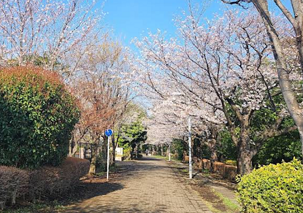 東山田公園まで約110ｍ