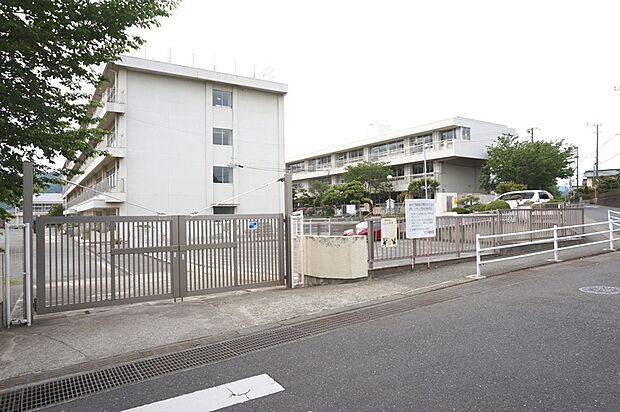 大根小学校