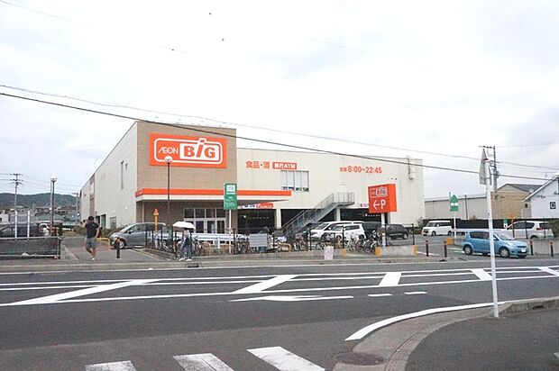 ザ・ビック東海大学前店