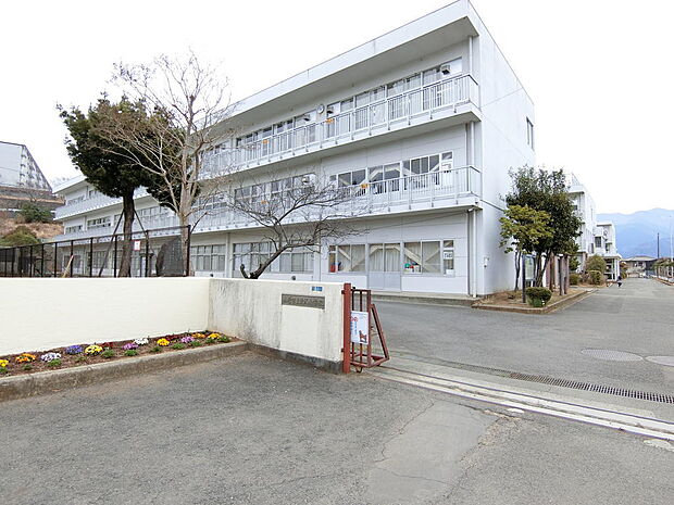 渋沢小学校