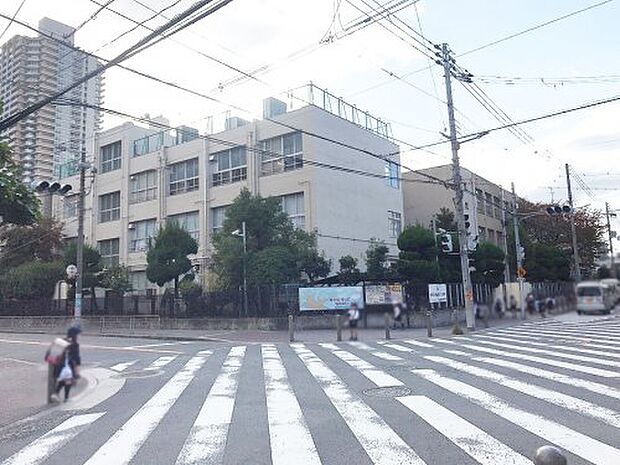 【小学校】大阪市立成育小学校まで534ｍ