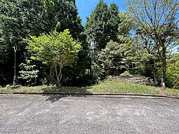 佐賀県佐賀市富士町大字杉山1381番49
