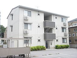 グレイスコート