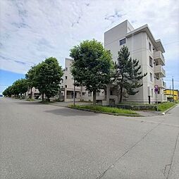 日欧パーク元中野Ａ棟105号室リフォーム済み