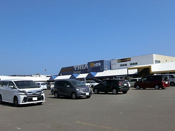 トライアル糸井店 600m