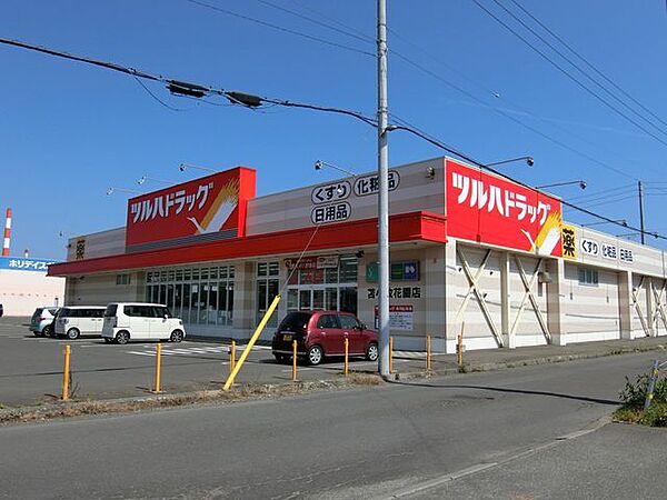 ツルハドラッグ苫小牧花園店 460m